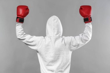 Kapşonlu gri arka plan üzerinde poz boksör