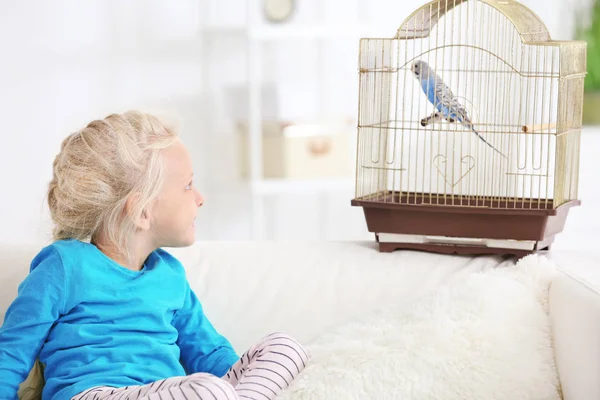 Κοριτσάκι Αξιολάτρευτο Μπλε Παπαγάλο Στο Κλουβί Καναπέ Εσωτερικούς Χώρους — Φωτογραφία Αρχείου