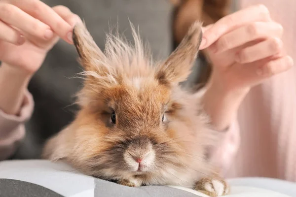 Femme Avec Lapin Compagnie Gros Plan — Photo