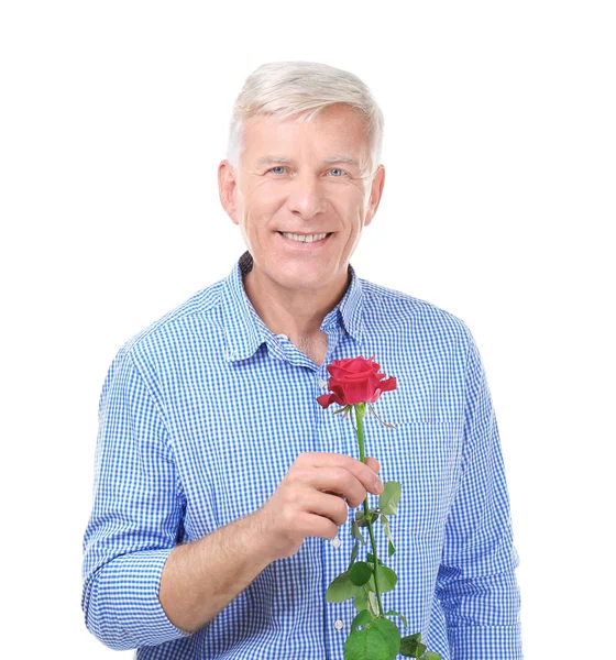 Attractive Mature Man Red Rose White Background — Stock Photo, Image