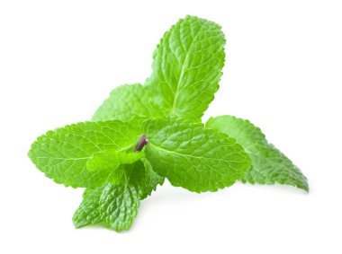 beyaz zemin üzerine taze Melisa