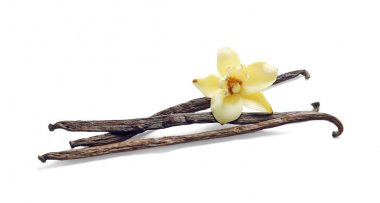Vanilla sticks and flower on white background clipart