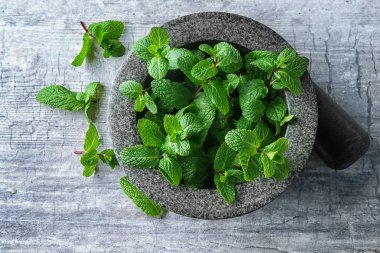 Harç ile gri arka plan üzerinde taze limon balm