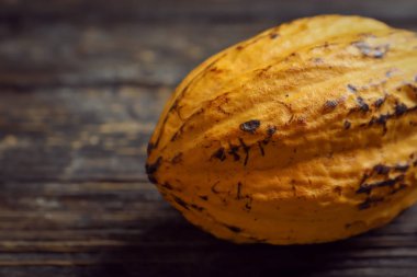 Tahta zemin üzerinde kakao kabuğu