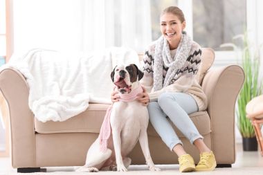 Sevimli beyaz Boxer Köpek kapalı olan kadın. Evde beslenen hayvan evlat edinmek