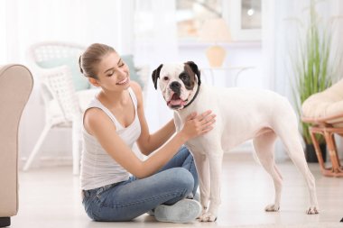 Sevimli beyaz Boxer Köpek kapalı olan kadın. Evde beslenen hayvan evlat edinmek