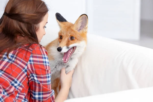 Young Woman Pet Fox Indoors — Stock Photo, Image