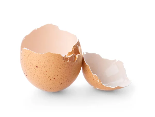 Cracked Egg Shell White Background — Stock Photo, Image