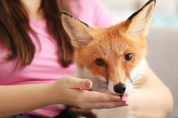 Žena Pet Fox Uvnitř Closeup — Stock fotografie