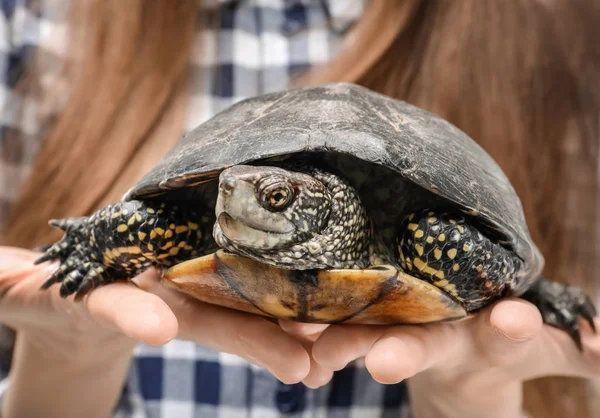 Femme Avec Tortue Caprine Gros Plan — Photo