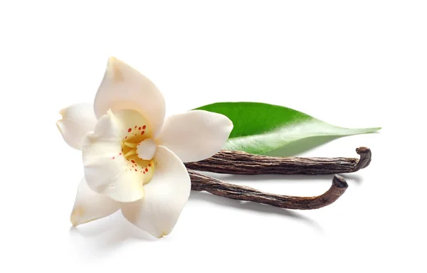 Vanillestäbchen Und Blume Auf Weißem Hintergrund — Stockfoto