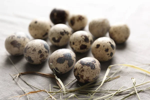 Quail Eggs Gray Fabric — Stock Photo, Image