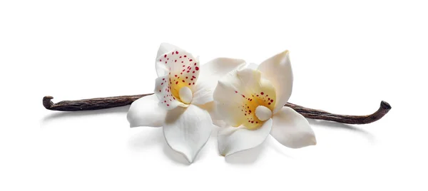 Laski Wanilii Kwiaty Białym Tle — Zdjęcie stockowe