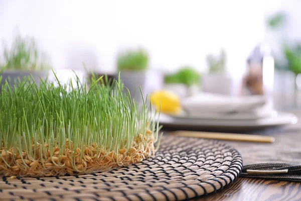 Wheat grass on wicker mat as decor at vegetarian cafe, closeup