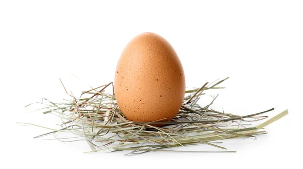 Αυγό Κοτόπουλου Λευκό Φόντο — Φωτογραφία Αρχείου