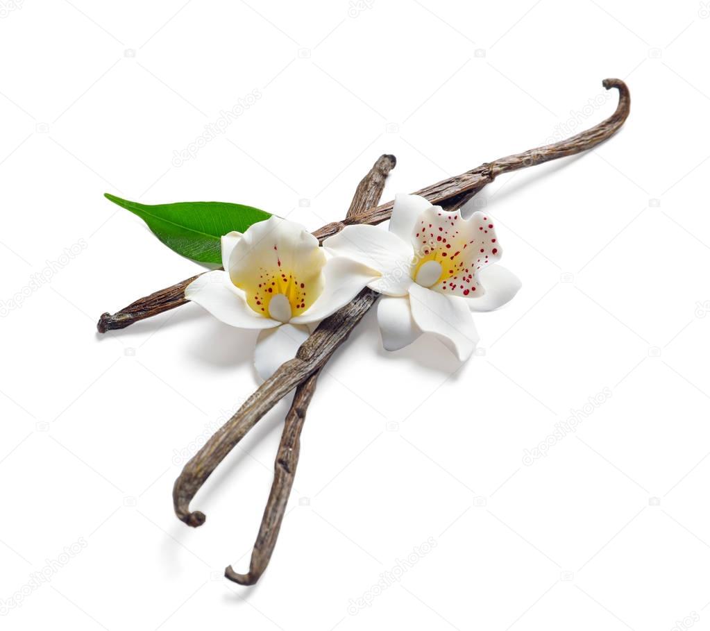 Vanilla sticks and flowers on white background