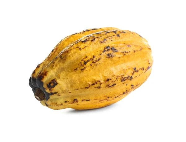 Ripe Yellow Cocoa Pod White Background — Stock Photo, Image