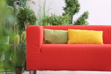 Odadaki yastıklar ile rahat kırmızı koltuk