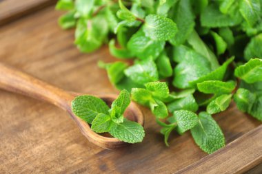 Taze Melisa ve ahşap arka plan, closeup kaşık
