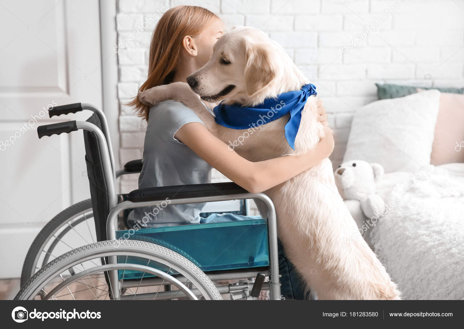 Girl Wheelchair Service Dog Indoors Stock Photo by ©belchonock 181283580