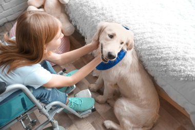 Tekerlekli sandalye ile hizmet köpek kapalı kız