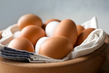 Tavuk yumurta bir kapta, portre