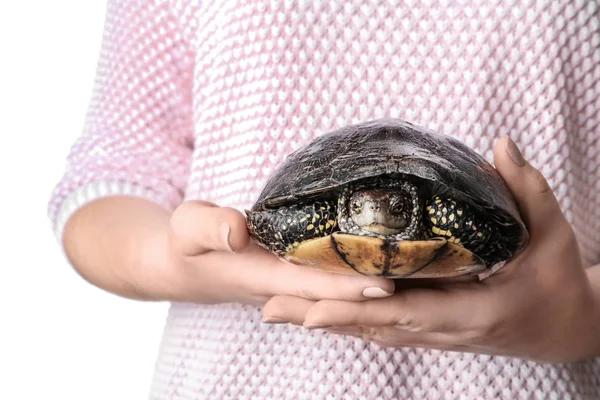 Femme Tenant Adorable Tortue Isolée Sur Blanc — Photo