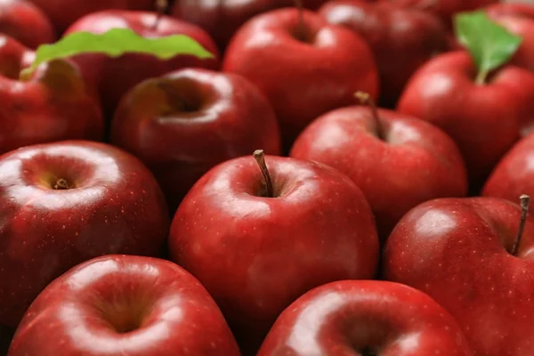 Manzanas Rojas Maduras Frescas Cierran Filas — Foto de Stock