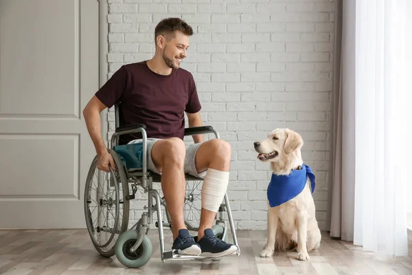Mann Rollstuhl Mit Diensthund Drinnen — Stockfoto