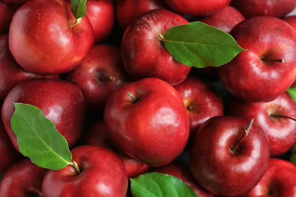 Massor Färska Mogna Röda Äpplen Med Gröna Blad — Stockfoto