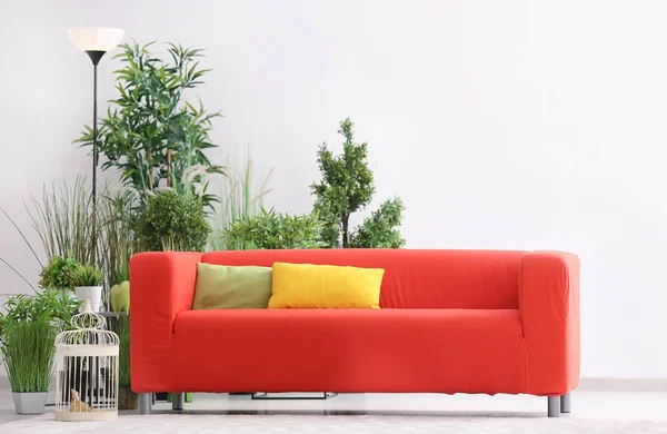 Sofá Vermelho Confortável Com Travesseiros Quarto — Fotografia de Stock