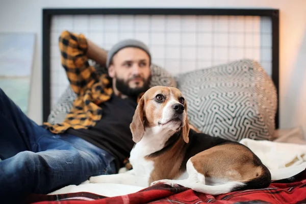 英俊的年轻的时髦与他的狗在床上休息在家 — 图库照片