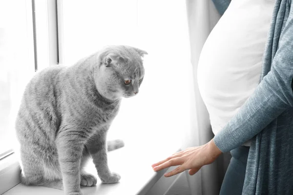 Беременная молодая женщина с милым котом у окна дома — стоковое фото