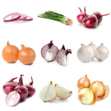 Beyaz zemin üzerine soğan çeşitleri ile kolaj