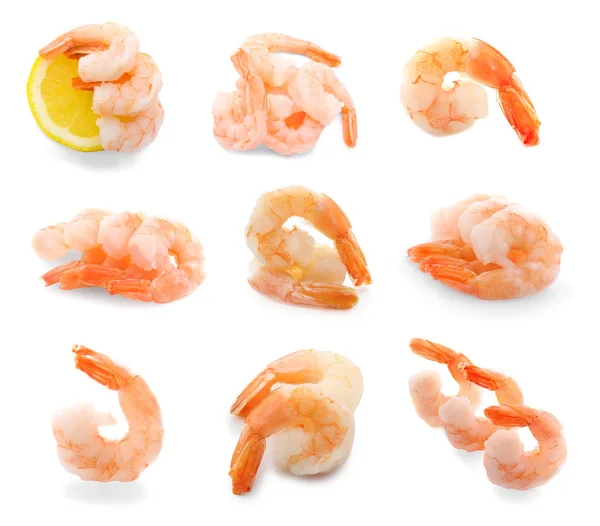 Conjunto de camarões cozidos no fundo branco — Fotografia de Stock
