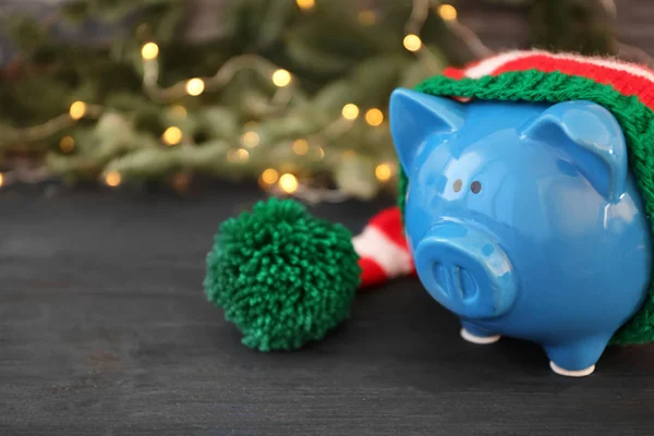 Свинка в полосатой шляпе и размытые рождественские огни на заднем плане — стоковое фото