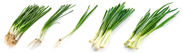 Kolaż z zielonej cebuli na białym tle — Zdjęcie stockowe