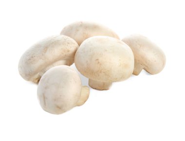 Beyaz arka plan üzerinde ham champignon mantar