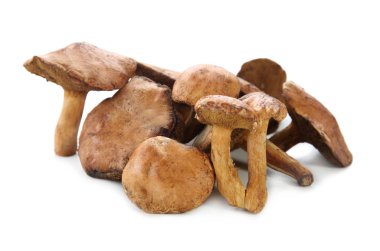 Beyaz arkaplanda çiğ mantarlar