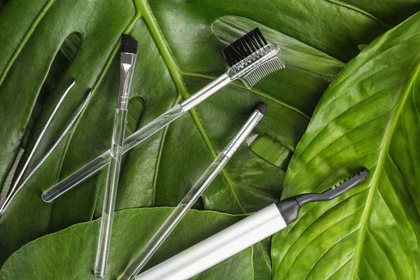 Tools for eyebrow dyeing and correction on green leaves — Stock Photo, Image