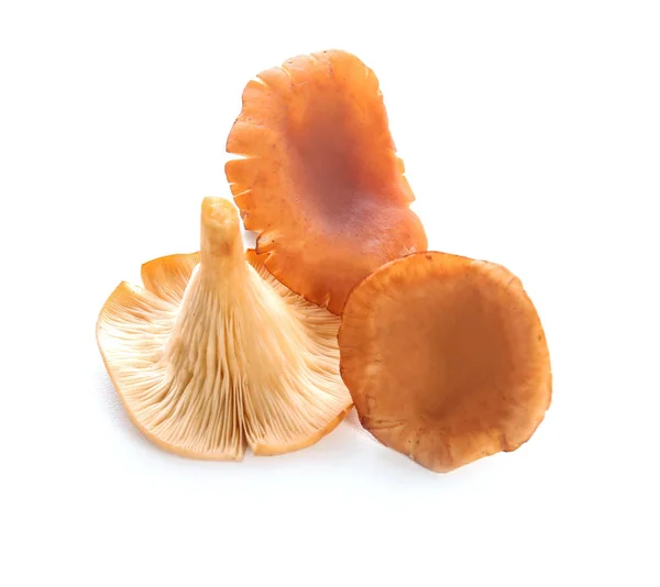 Raw chanterelle mushrooms on white background — Stock Photo, Image