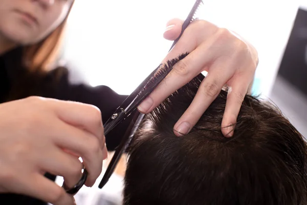 Professional stylist cutting client's hair in salon, closeup — Stock Photo, Image