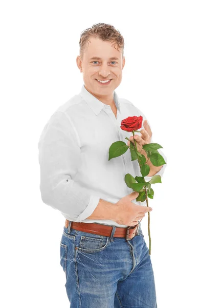 Красивый Зрелый Мужчина Красной Розой Изолированный Белом — стоковое фото