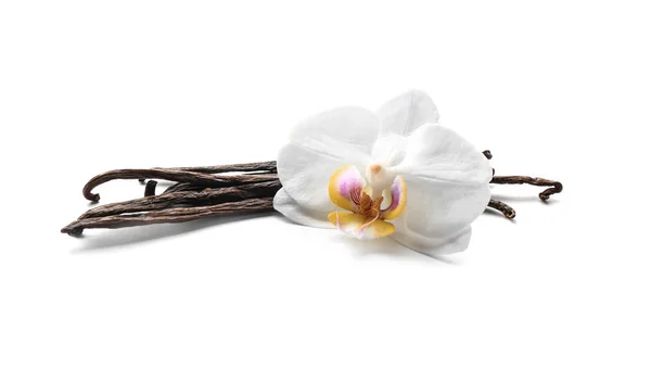 Ванільні Палички Квітка Білому Тлі — стокове фото