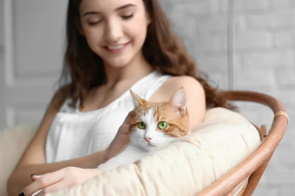 Piękna Młoda Kobieta Ładny Kot Fotel Domu — Zdjęcie stockowe
