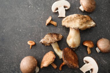 Gri arka plan, üstten görünüm üzerinde farklı mantar