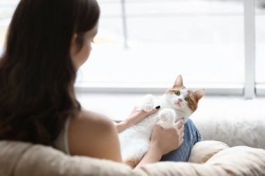 Şirin kedi evde koltuk içinde olan güzel kadın