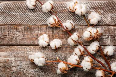 Tahta Arkaplanda Pamuk Çiçekleri