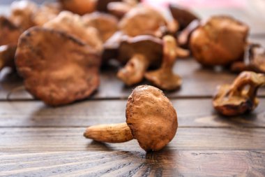 Ahşap masa üzerinde ham orman mantar