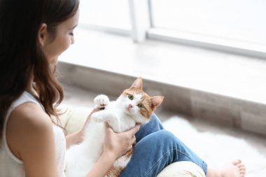 Şirin kedi evde pencere yakın olan güzel kadın